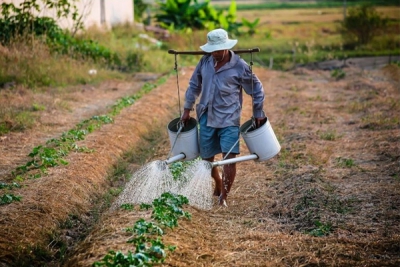 A Hora do Agricultor