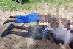 Cabo Delgado: Dois Fiscais de Floresta e Fauna Bravia da Kamboko Safaris decapitados pelos terroristas na Reserva Especial do Niassa