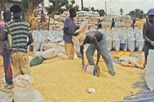 Cabo Delgado: Governo projecta comercializar 1,3 milhões de toneladas de produtos agrícolas