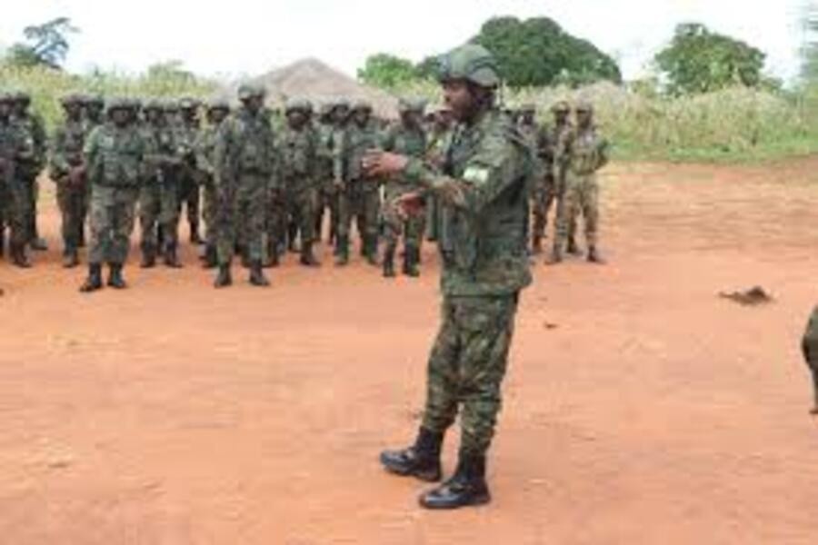 Cabo Delgado: Académicos divergem sobre a possível retirada das tropas ruandesas