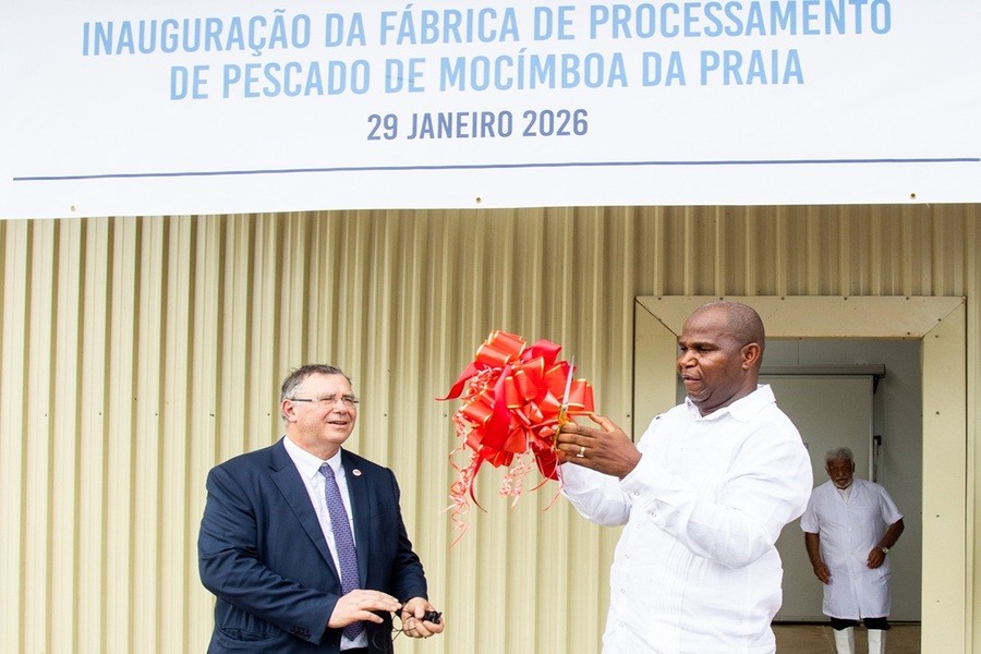 Cabo Delgado: Três meses após inauguração presidencial, fábrica de processamento de pescado continua parada em Mocímboa da Praia