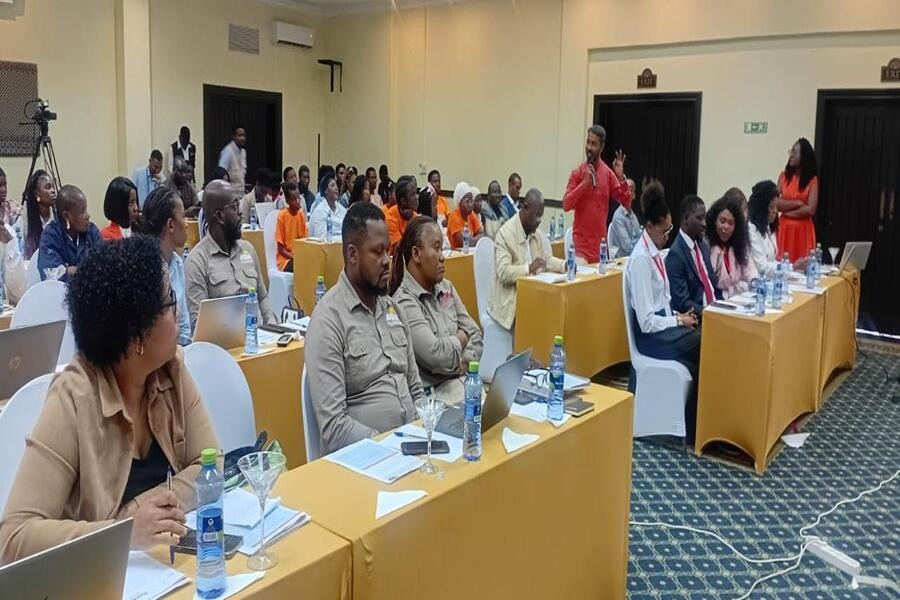 Cabo Delgado: Empresários defendem maior valorização das empresas locais