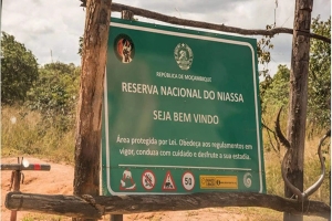 Cabo Delgado: Presidente da República anuncia expulsão de terroristas da Reserva do Niassa