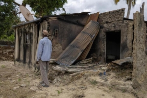Cabo Delgado: Mais de 25 galinhas mortas pelos terroristas em Ntotwe depois de não terem encontrado comida nas casas da população