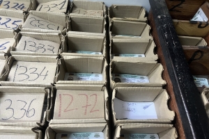 Cabo Delgado: Cidade de Pemba lidera em condução irregular – INATRO apreende 40 cartas de condução no primeiro trimestre