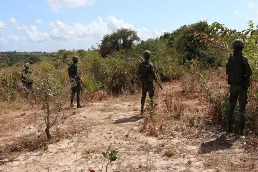 Cabo Delgado: Estrondos de "bazucas" geram tensão nas matas de Katupa, em Macomia