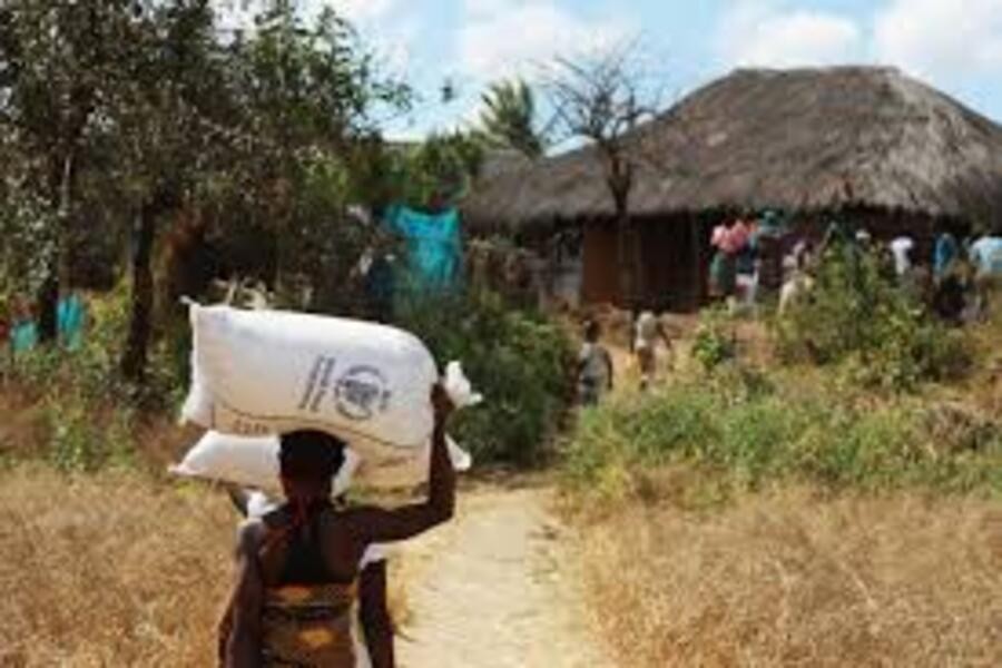 Cabo Delgado: Vulnerabilidade extrema expõe jovens ao recrutamento insurgente