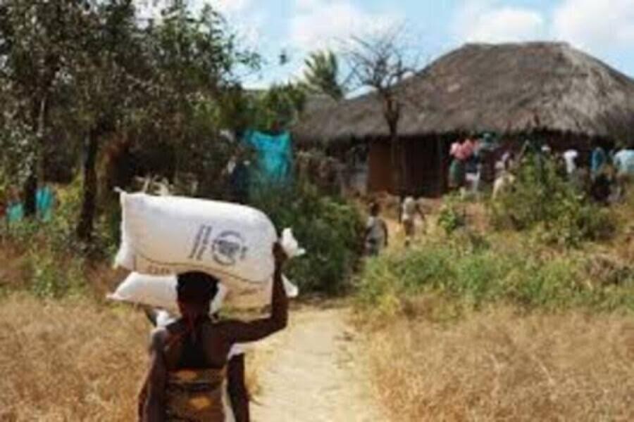 Cabo Delgado: Insurgentes distribuem alimentos roubados para conquistar lealdade de civis, alerta pesquisador