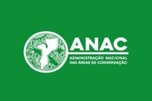 Moçambique: PM confere posse nesta quarta-feira, o novo Director-geral e Director-geral Adjunto da ANAC